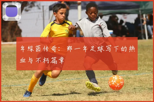 年绿茵传奇:那一年足球写下的热血与不朽篇章